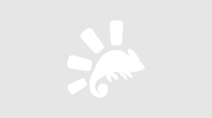 Β3 (2021): «Μεθοδολογία Έρευνας ΙΙ και ζητήματα εκπόνησης διπλωματικής εργασίας»